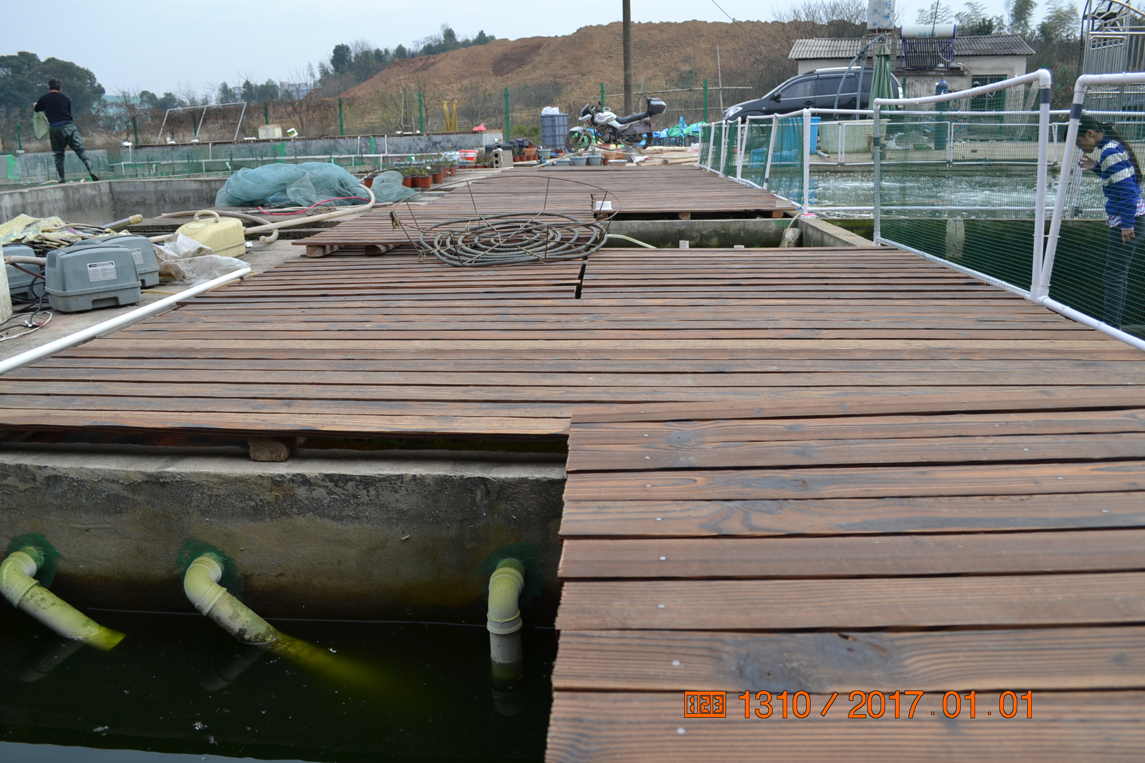 湖南最好的锦鲤养殖基地,湘潭锦鲤养殖