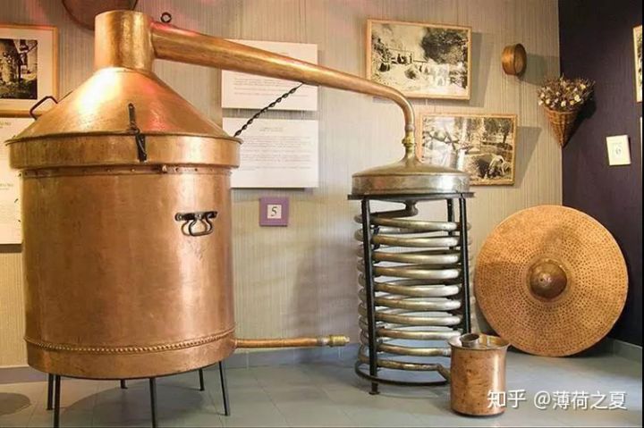 依兰花提取精油,完全依兰精油