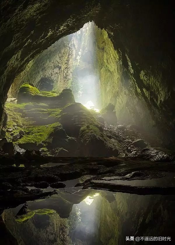 世界最大洞穴里的原始森林,探险最深最大的地底洞穴