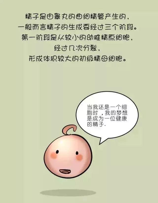 男性不孕不育中医治疗配方,男性治疗不孕不育要用什么药