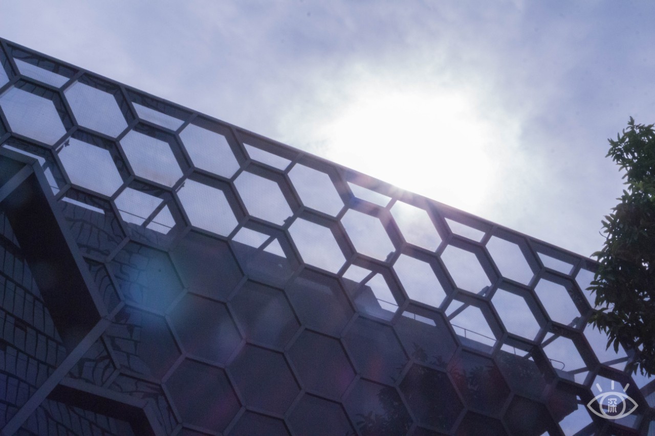 深圳福田美术馆,深圳艺术博物馆有什么值得看的