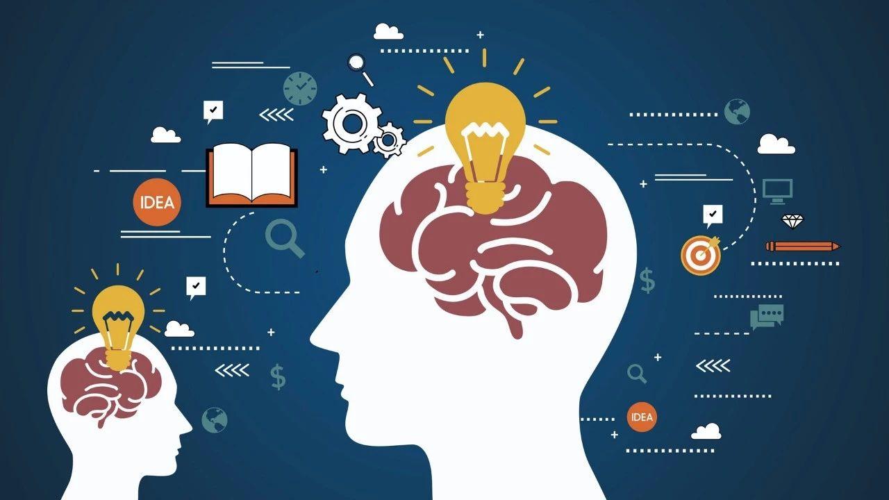 一文看懂关于人体学问,新鲜人参功效