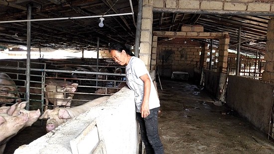 孤寡老人捡弃婴后续,拾荒大姐捡3万完整版