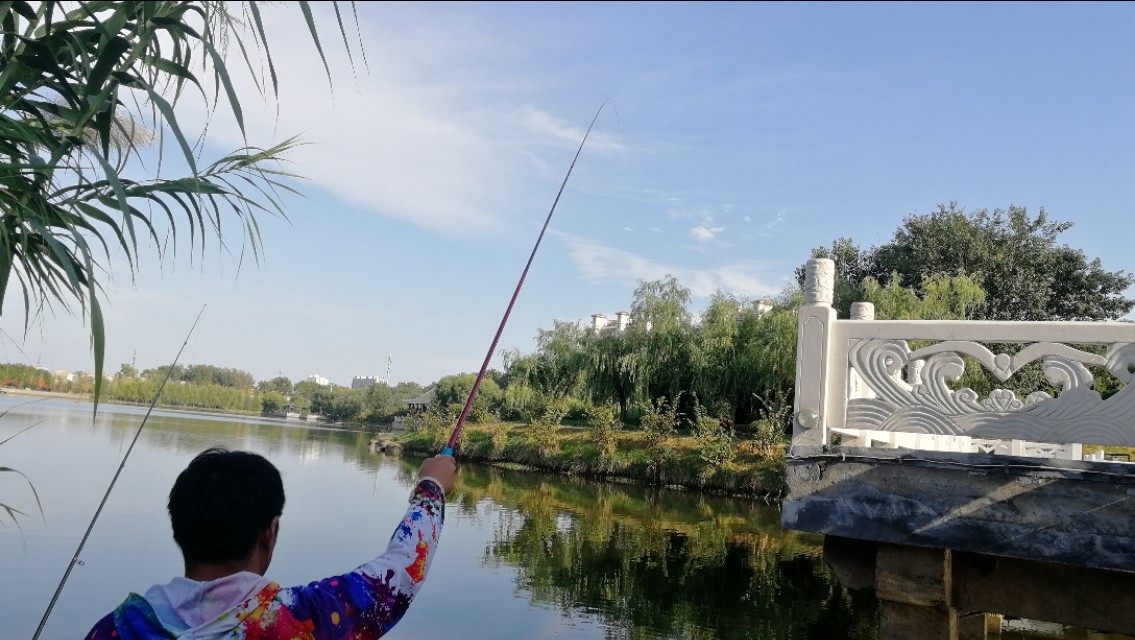 喜欢钓鲫鱼,手感好的鲫鱼鱼竿品牌