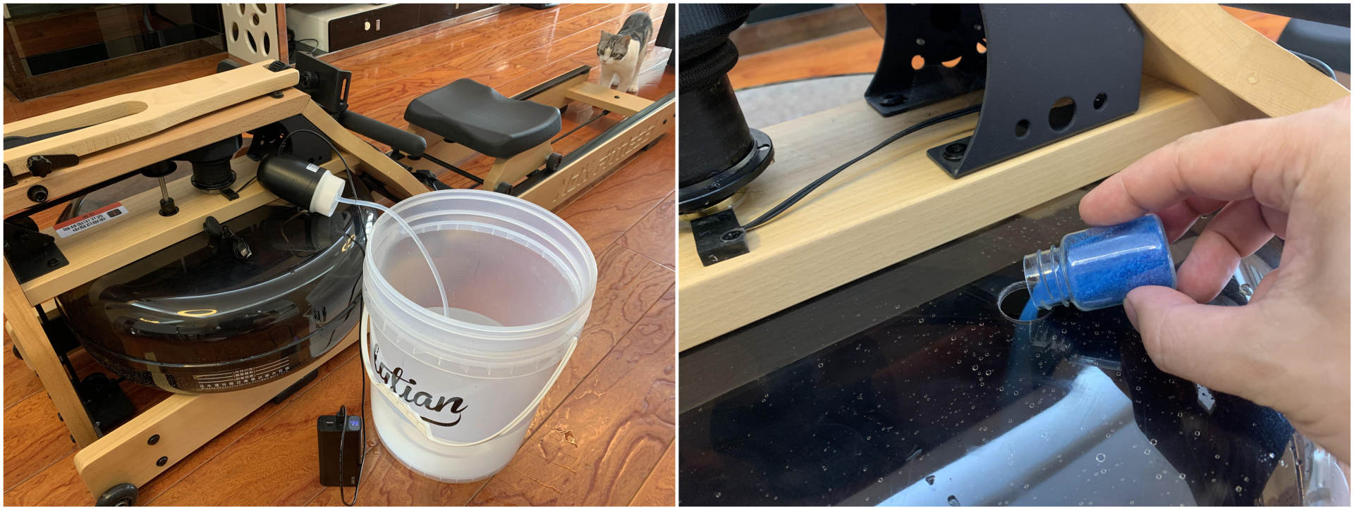 跑步机和划船机哪个效果好,划船机跑步机效果对比