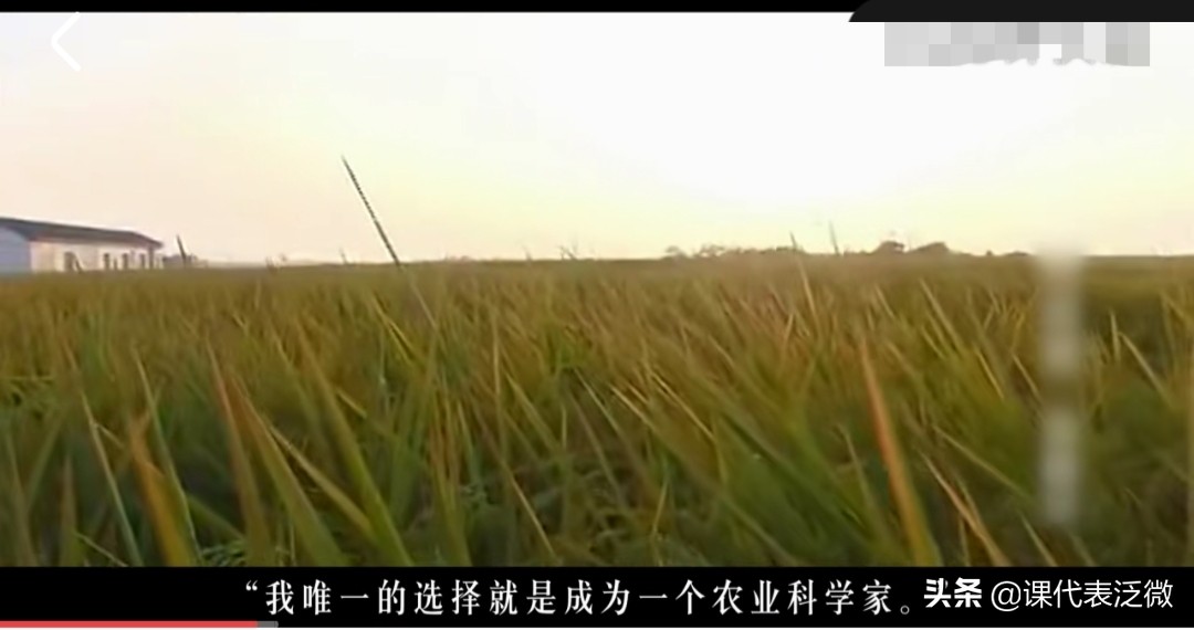 你不知道的袁隆平：浪里白条、预备飞行员、油炸鬼、臭水沟捞宝贝