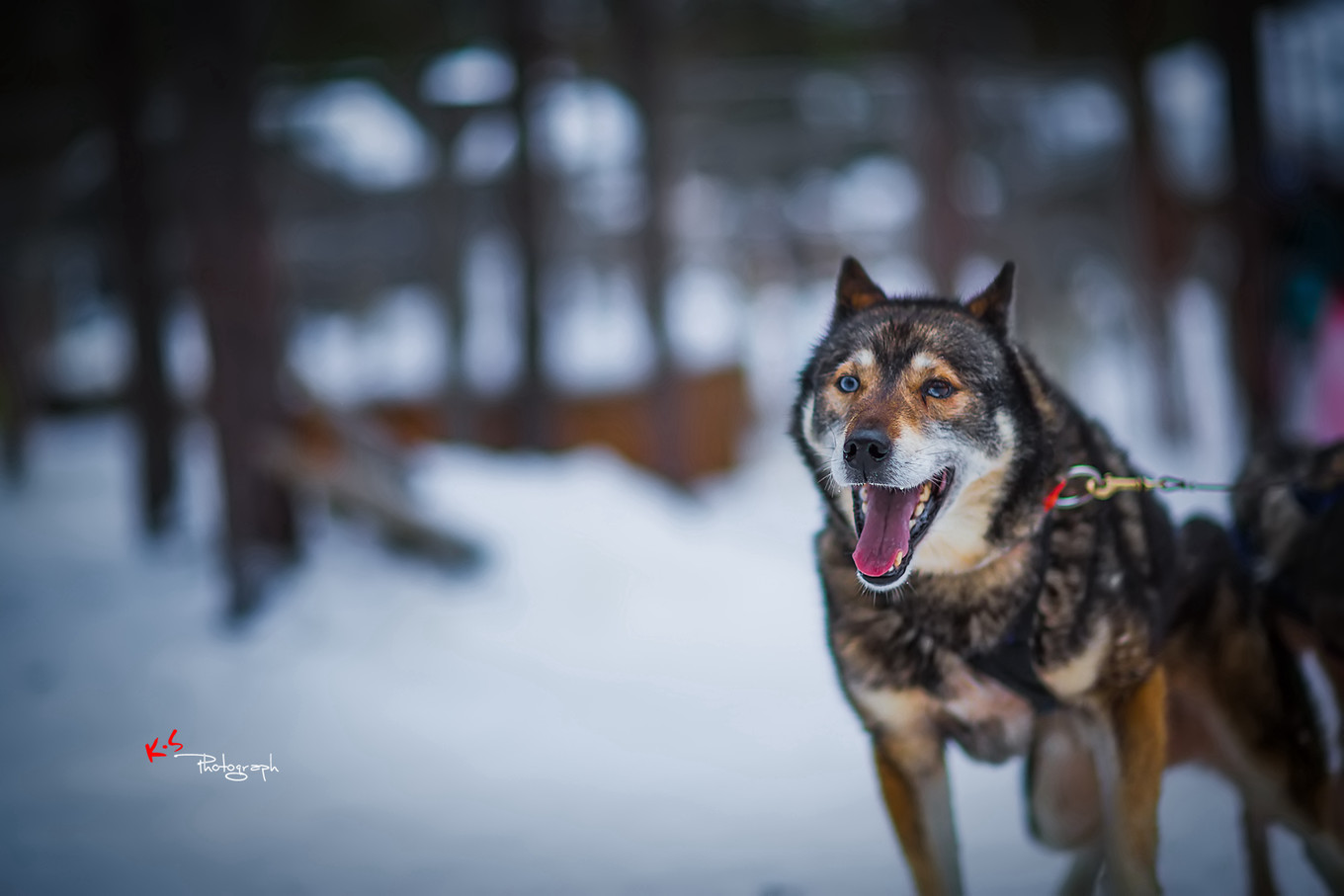果小姐的日常,果小姐的慢生活