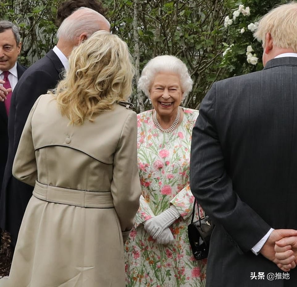 七国峰会女王着装,七国峰会英女王会见各国政要视频
