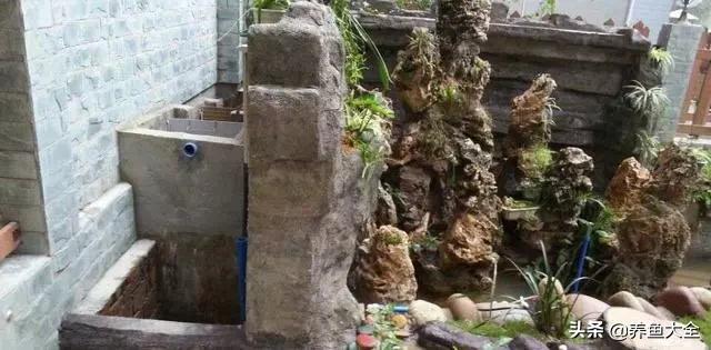 鱼池全部建造过程,鱼池建造大型全过程