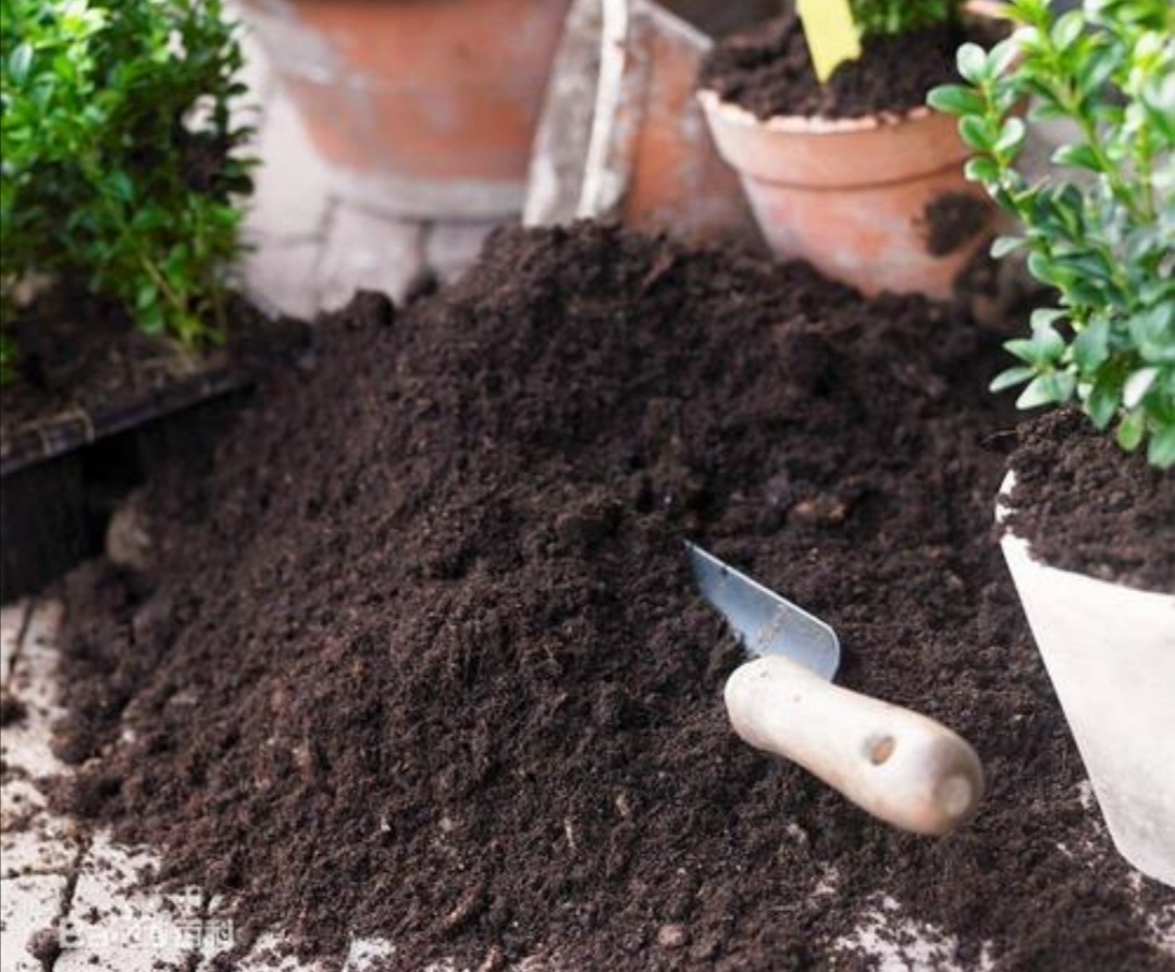 养啥花都好使不花钱的营养土,营养土哪种最好养