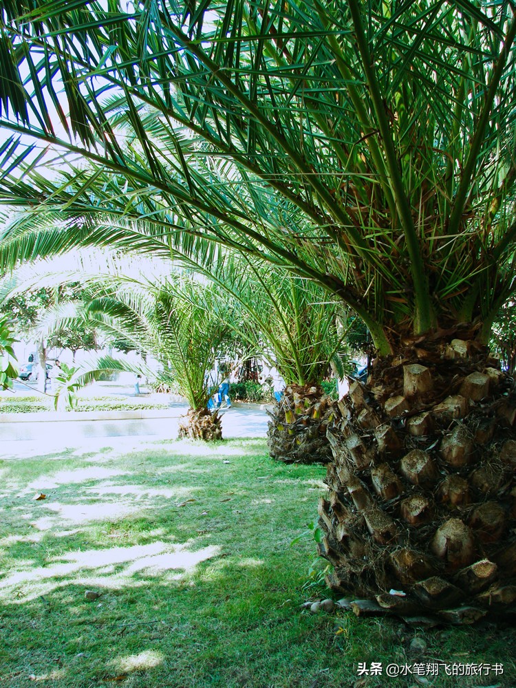 厦门有这样一个地方｜小和尚的邻居是大学生，古朴与摩登并存