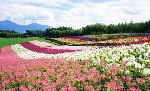 重庆五一冷门自驾,重庆出发自驾8日游攻略路线推荐