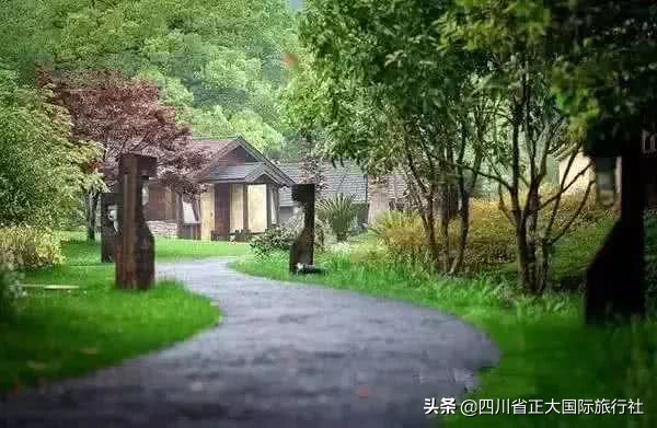 扬州瘦西湖最新旅游消息,扬州瘦西湖最美公园