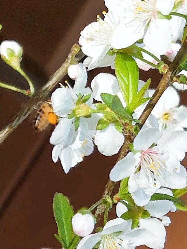 走过熟悉的那条街已不是以前的街,记忆中的那条街