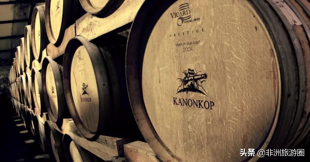 南非有什么葡萄酒好喝又便宜,南非葡萄酒品种