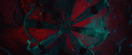 白花花肉体,全是白花花的肉