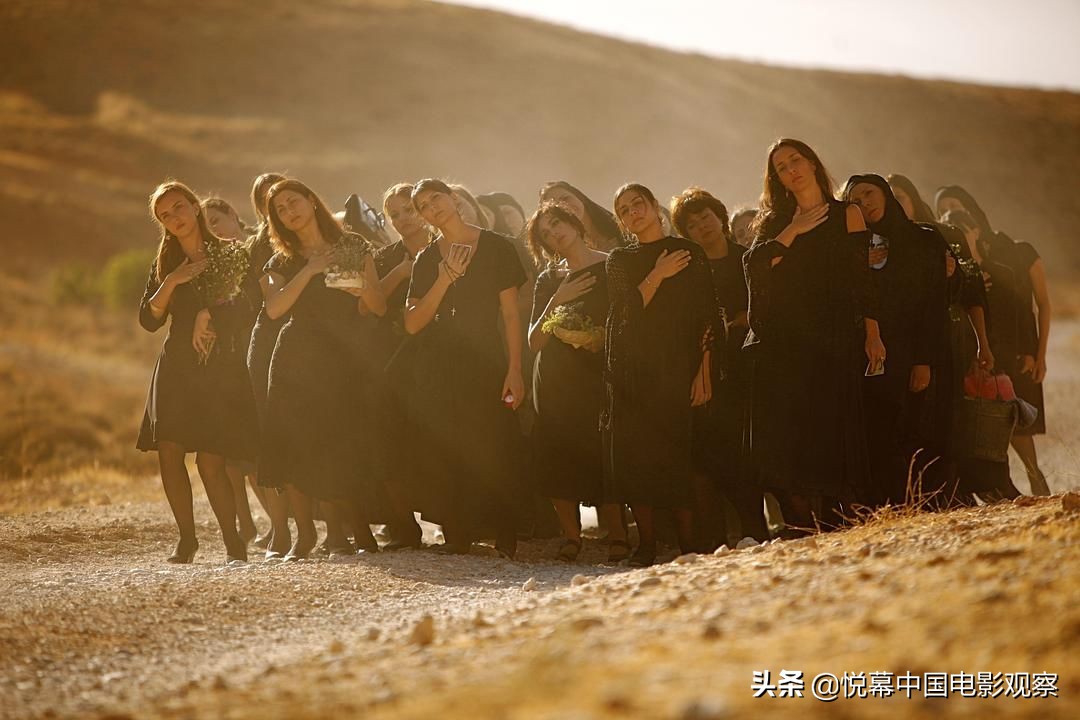 乐创文娱最新信息,乐创文娱