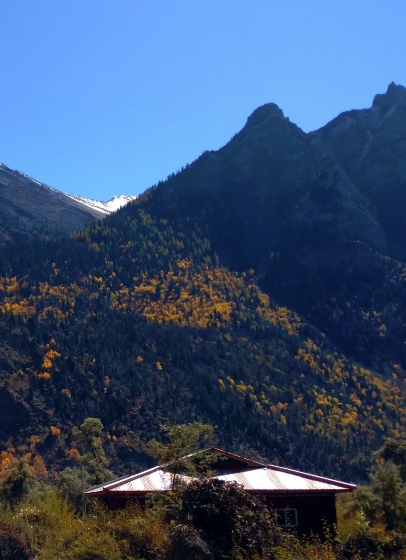 钘忚タ涔嬫梾,瑗胯棌涔嬭