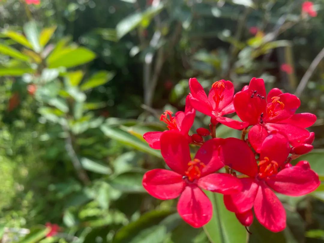 自称“18岁”日本大叔为冲浪定居海南11年：我是海南人了