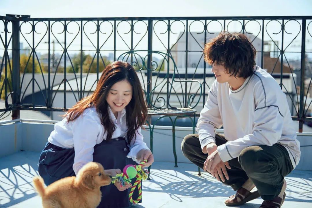 2020日韩最好看的电影,日韩2020上映电影