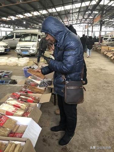 抚松万良人参批发市场在哪里,抚松万良人参市场直播