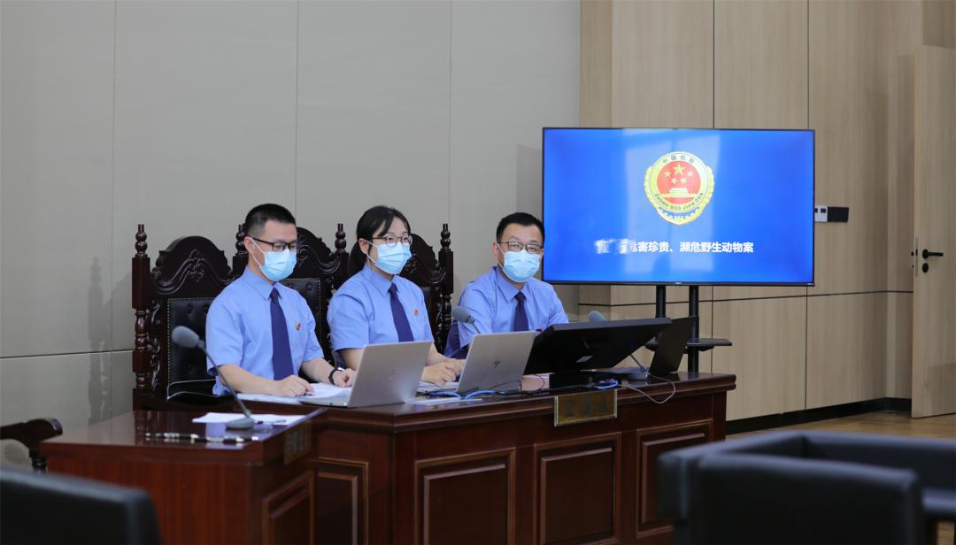 中华鲟谁被判刑,中华鲟被判刑