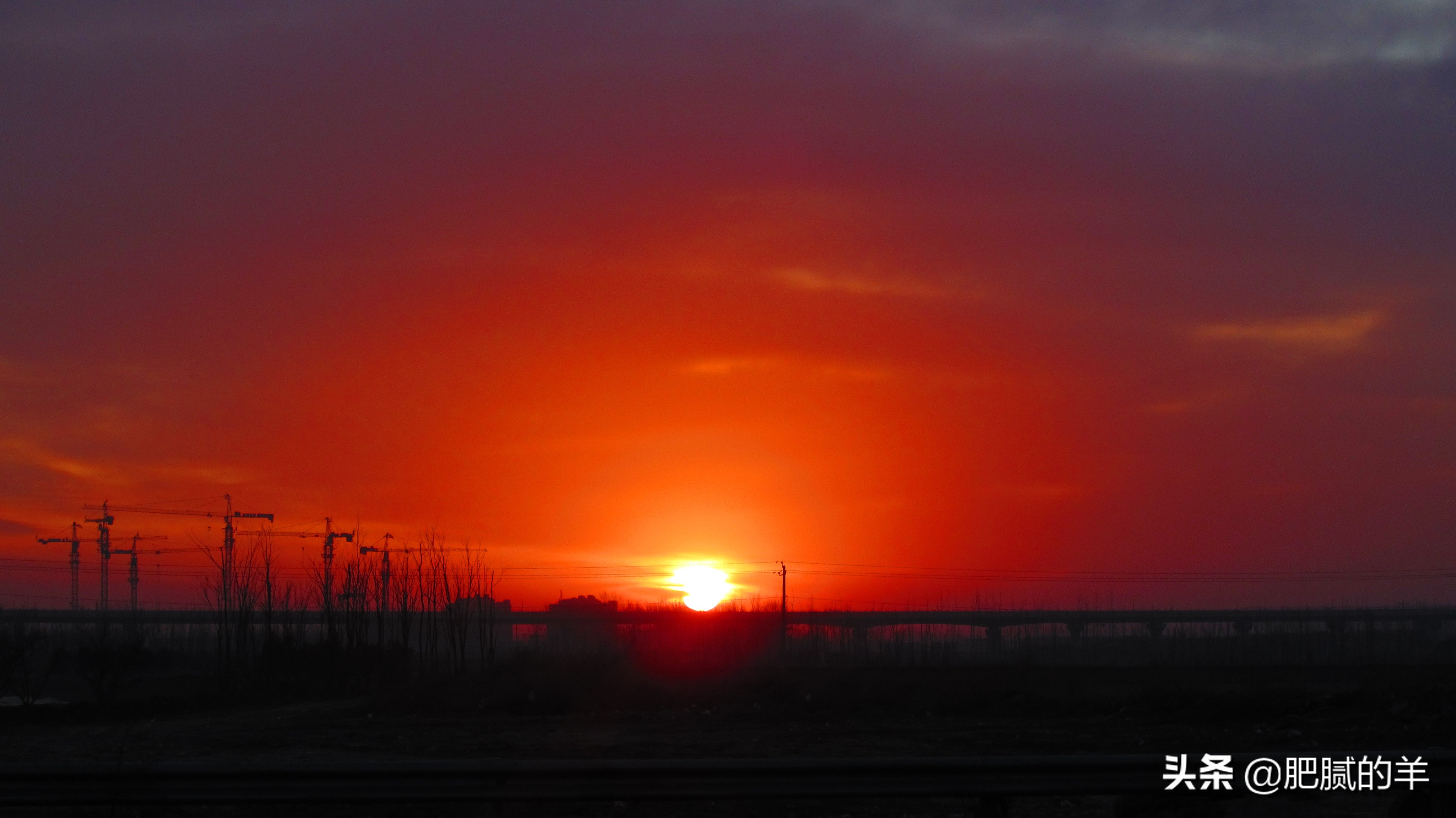 小说：1986年津门珠宝大盗落网记-大结局