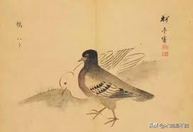 鸟为图腾的民族,商周朝为何以鸟为图腾