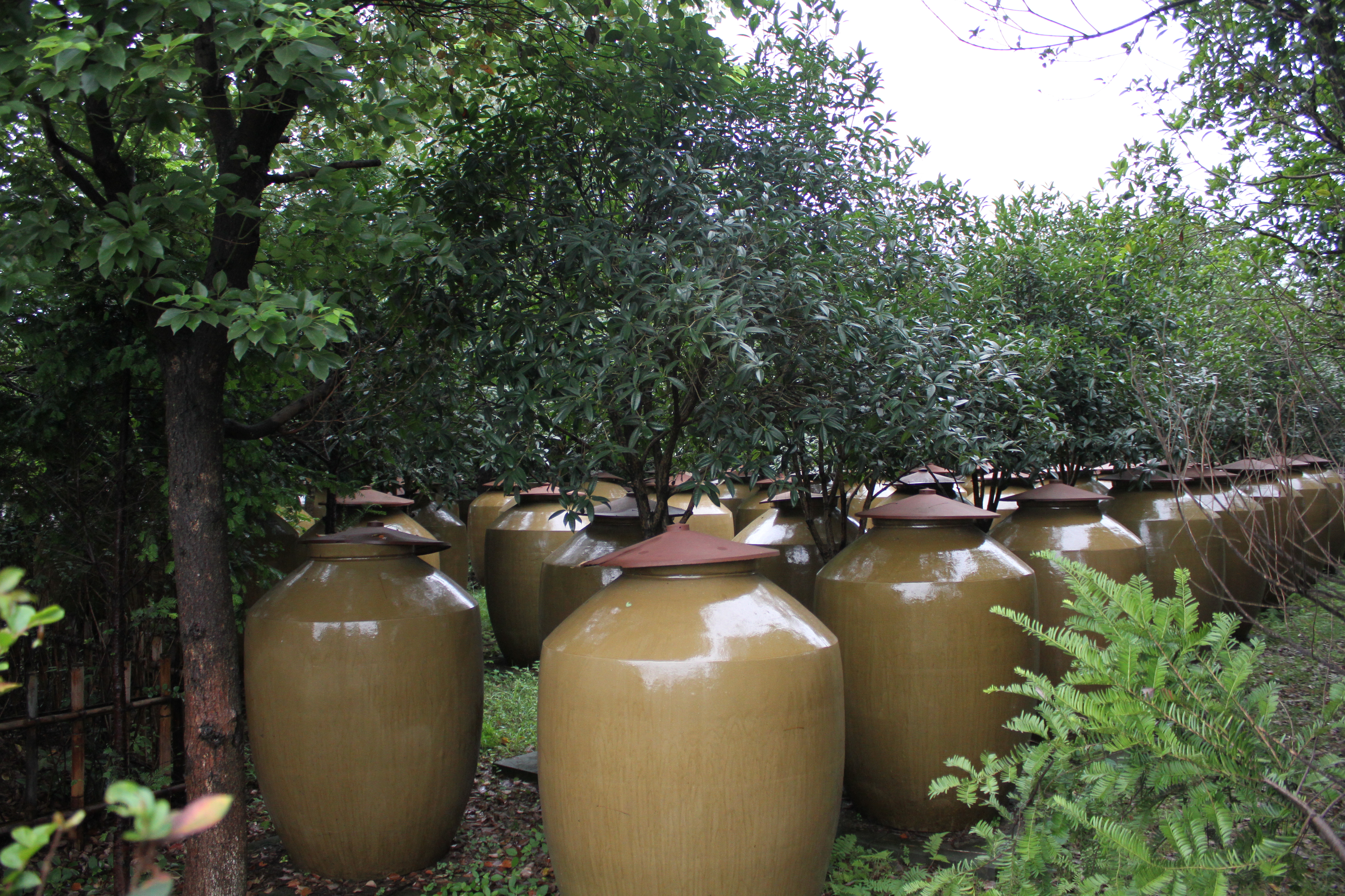 探秘寻访之旅古川酒庄：品一盏淡雅，销万古情愁