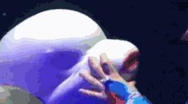 难得一见海洋动物表演,看不完的海洋动物和表演