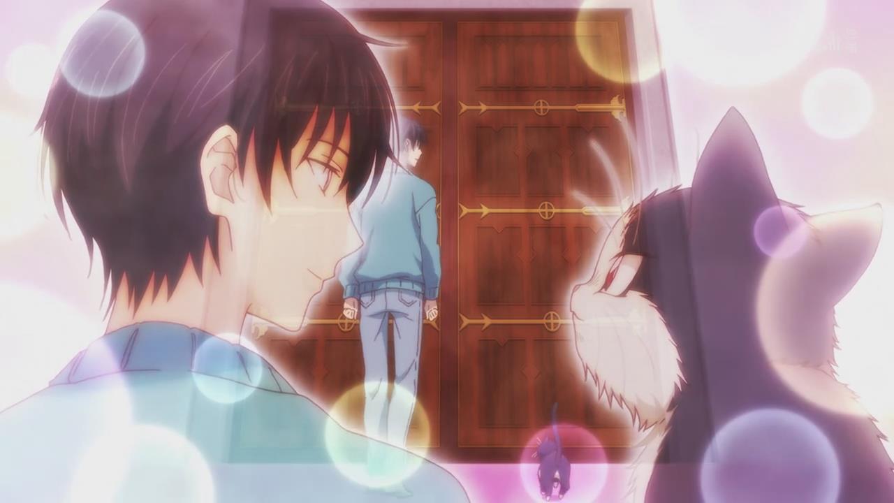 治愈系动漫新番猫猫,1月新番动漫因狗而幸福