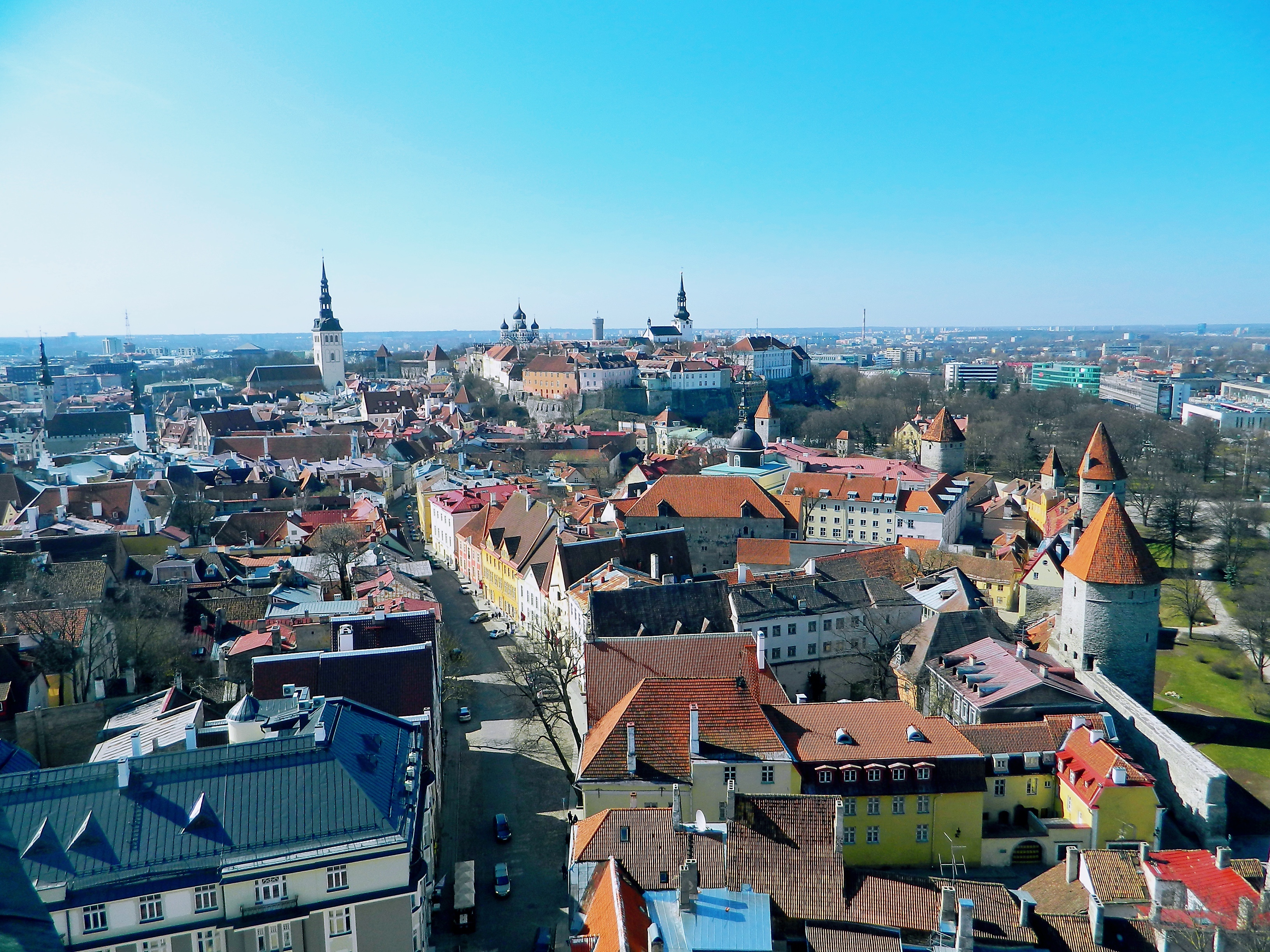 塔林里面有什么,塔林波罗的海舰队