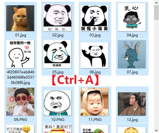 文件重命名快捷方法,文件怎么快速重命名