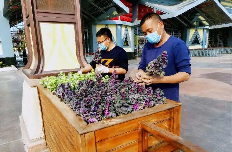 邯郸方特最新进展,邯郸方特国色春秋