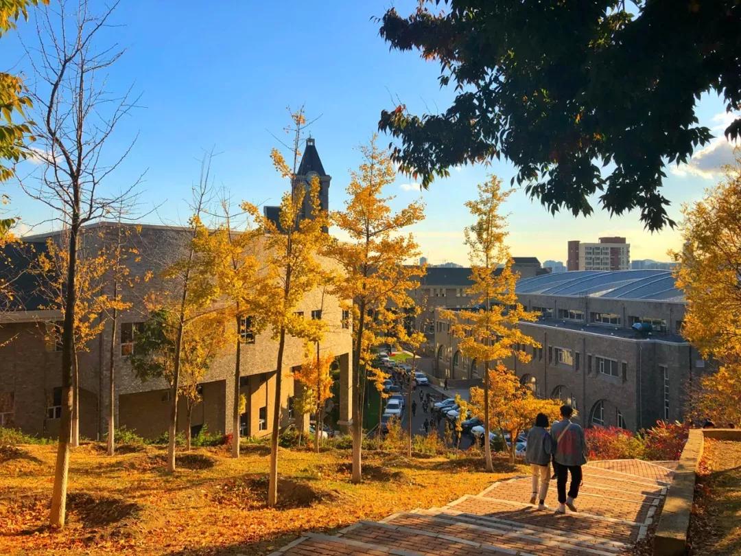 辽宁省民办大学（二）大连东软信息学院