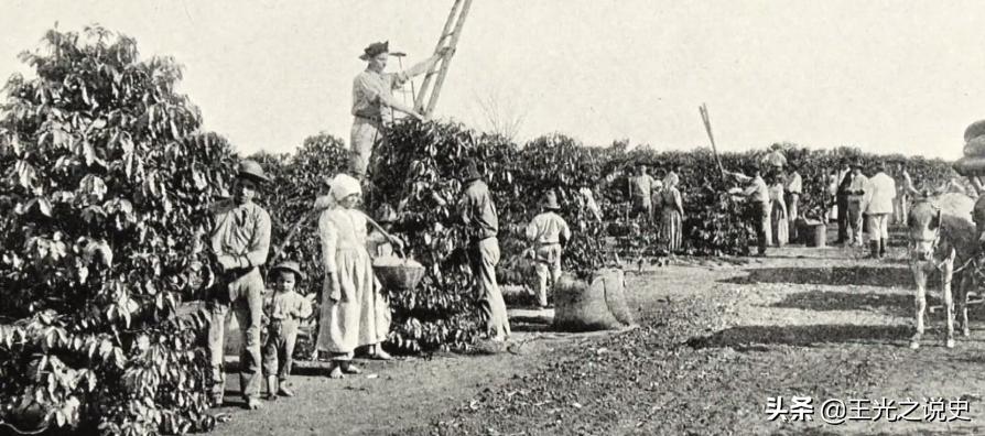 巴西踢球随心所欲,除了足球一无所有