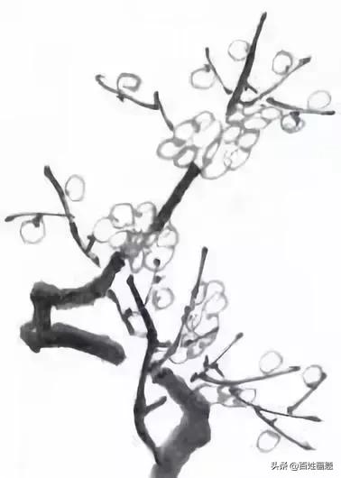 国画梅花画法视频,徐湛梅花画法教程