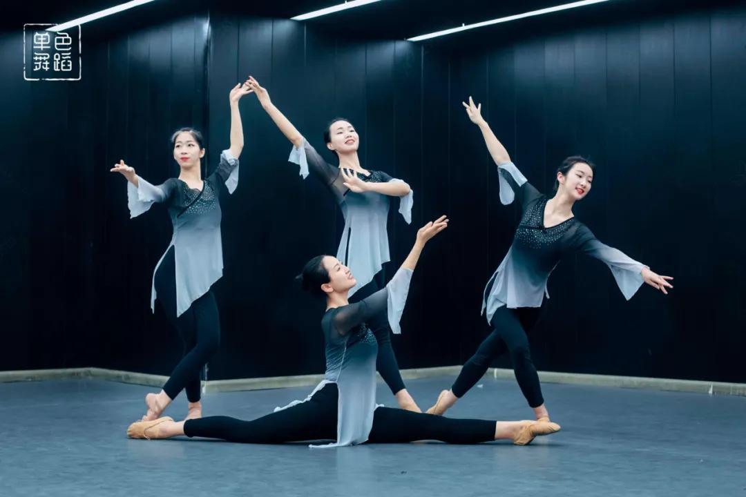 中国舞三级舞蹈基本功练习,中国舞零基础基本功训练在家练习