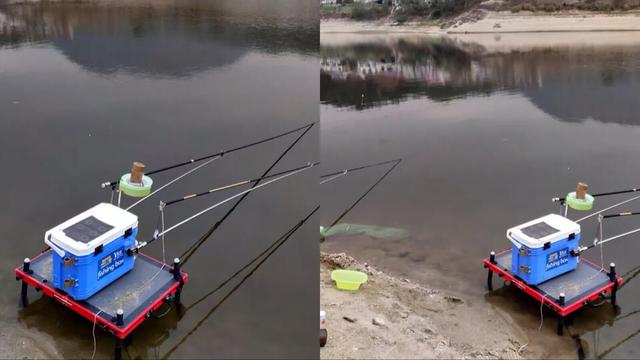 黑坑“肥水”鱼难钓，如何调整？因地制宜分析原因，即可有效避免