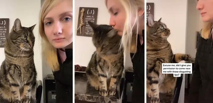 当你亲了猫一下它会摇尾巴,当你亲了猫一口会发生什么