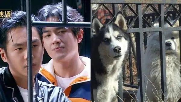 张若昀起诉父亲张健案件判了吗,张若昀正式起诉父亲张健