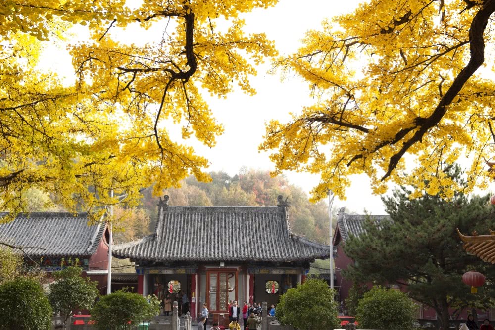 鲁山文殊寺,云雾缭绕人间仙境的寺庙大佛