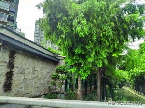 南京一餐厅超出河道蓝线遭举报莫愁湖街道：红眼病吧