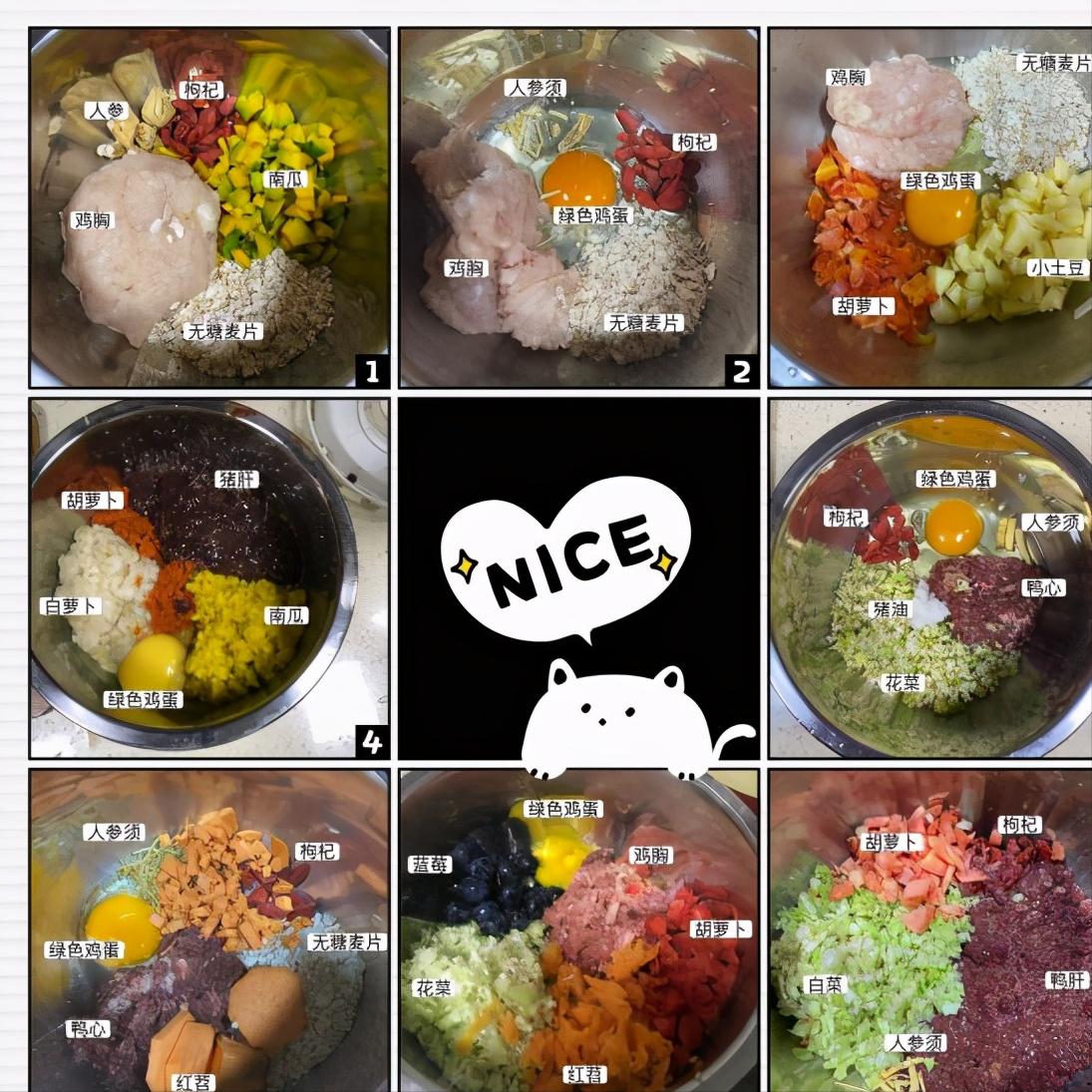 去花鸟市场600块钱买宠物,去宠物市场花100元买一只小土狗