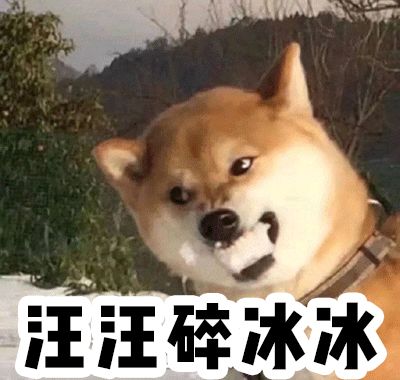 便宜又好看不超过50块钱的睡衣,高颜值纯棉睡衣男100%全棉