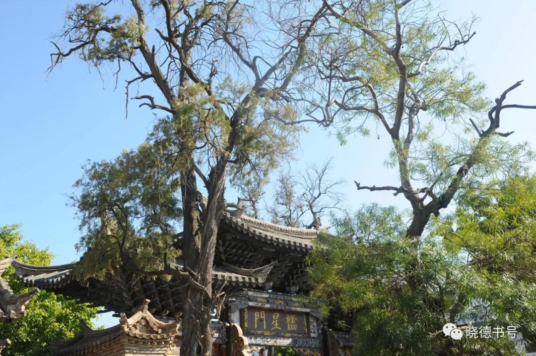 古六大茶山普洱茶历史,普洱茶古今六大茶山