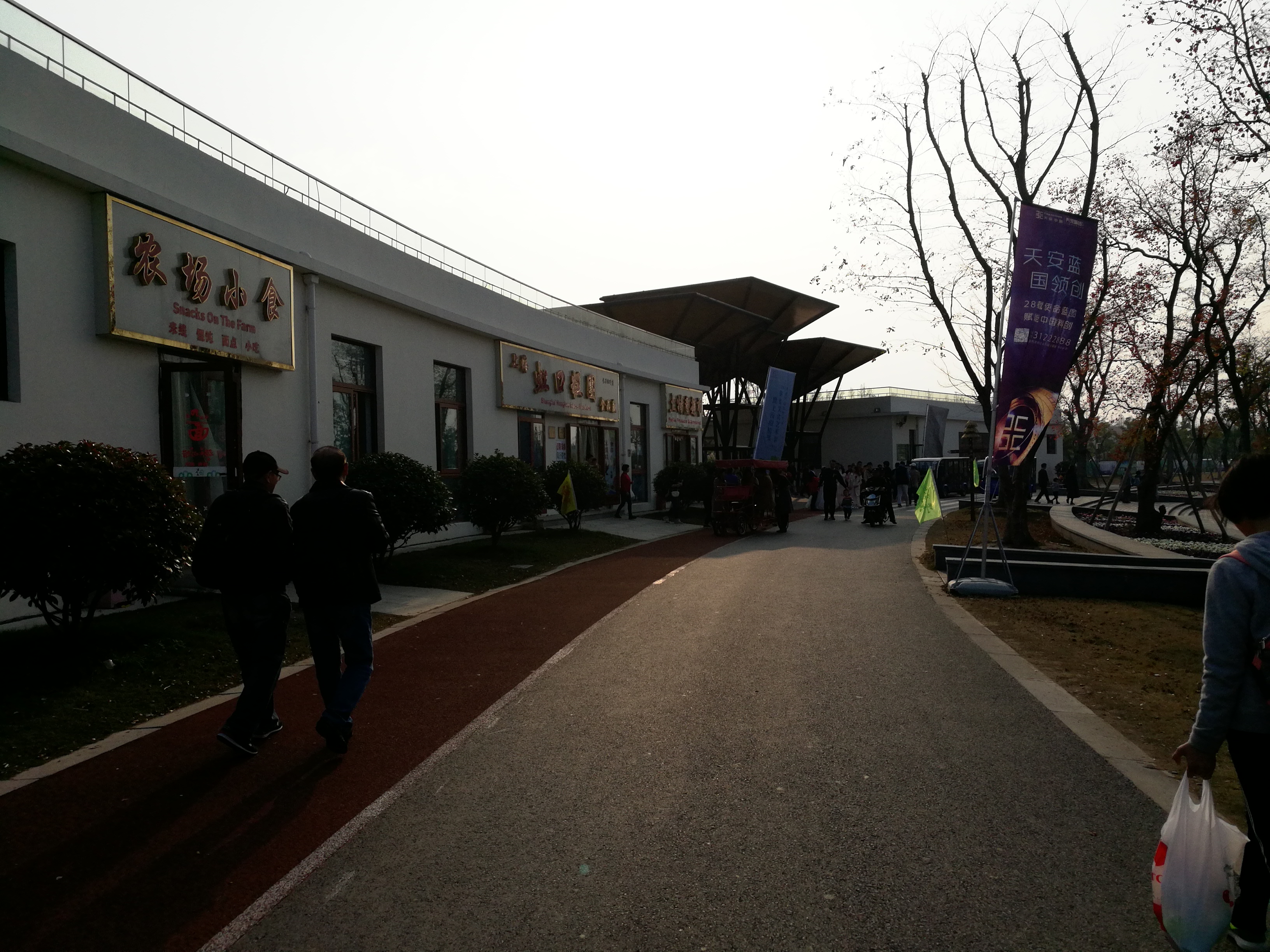 上海崇明岛郊野公园扩建工作,崇明长兴岛公园规划