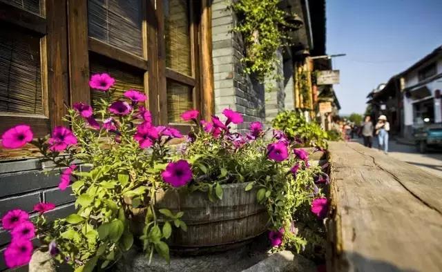 楠溪江为什么叫山水画摇篮,中国山水画林泉高致