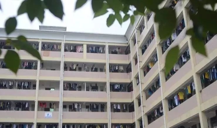 高职高考嘉应学院技能考试,梅州嘉应学院高职高考分数排名