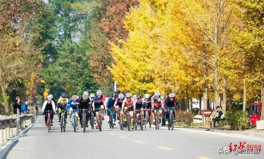 成都25小时健身俱乐部地址,建成10分钟健身圈